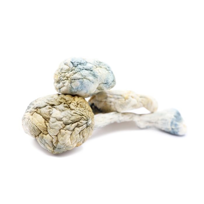 Alien-Bubbles-Magic-Mushrooms.jpg