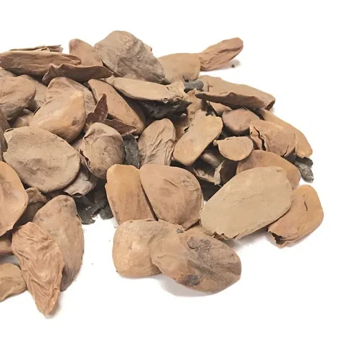 BUY-AKUAMMA-SEED-ONLINE.webp BUY-AKUAMMA-SEED-ONLINE.webp