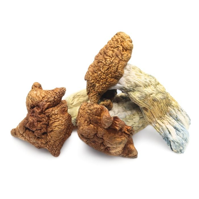 King-Kong-Magic-Mushrooms.jpg