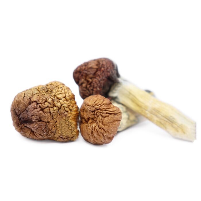 Mazatapec-Magic-Mushrooms.jpg