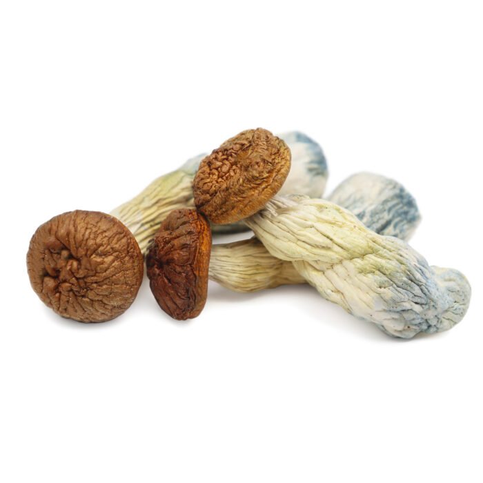 Penis-Envy-Magic-Mushrooms.jpg