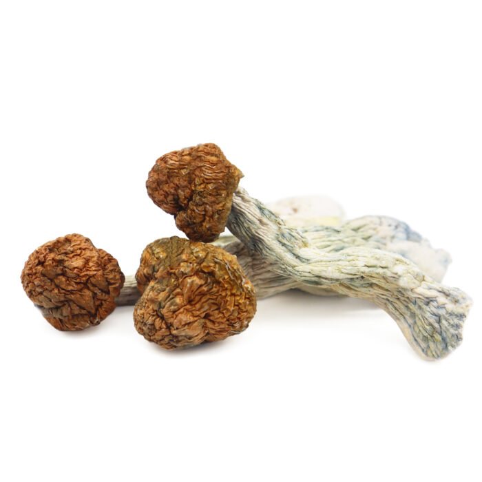 Trinity-Magic-Mushrooms.jpg