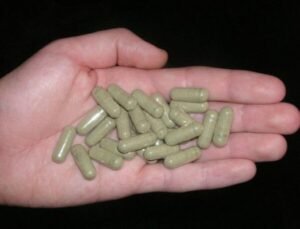 Mescaline Capsules